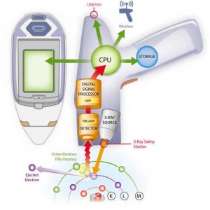 xrf_schema