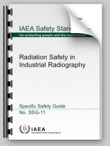 IAEA Sicur. Industria Pub1466.pdf